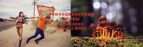 apvp Осташков