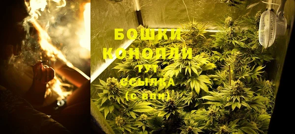 спайс Осинники