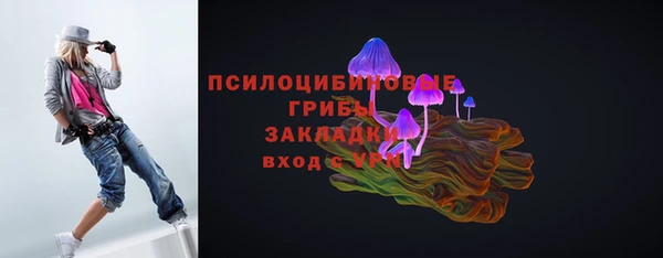 apvp Осташков