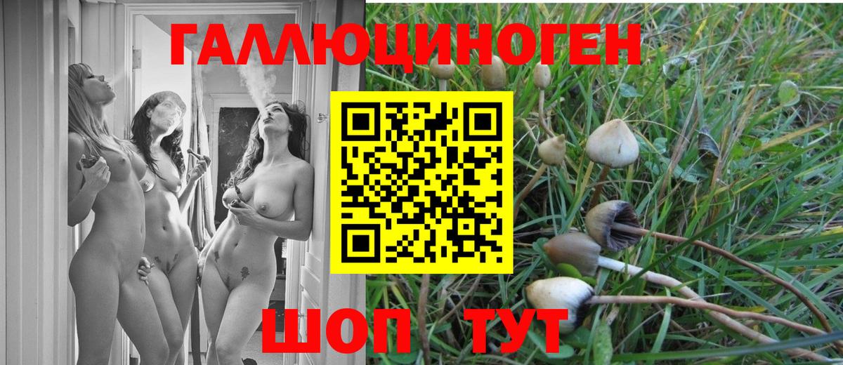 Галлюциногенные грибы Psilocybine cubensis  Вход с VPN  Анжеро-Судженск 