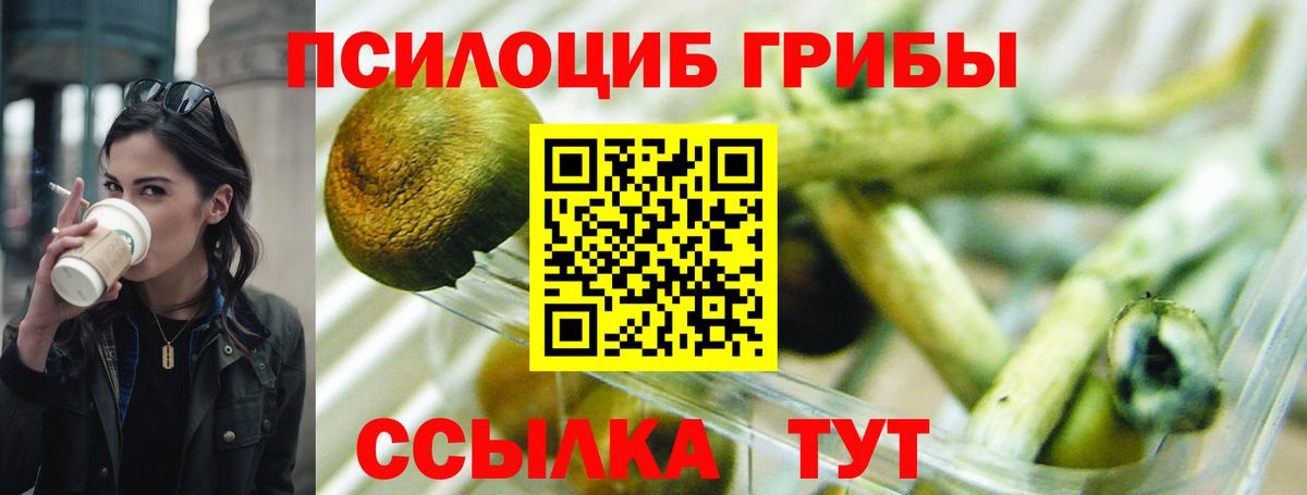 Галлюциногенные грибы GOLDEN TEACHER  Анжеро-Судженск 