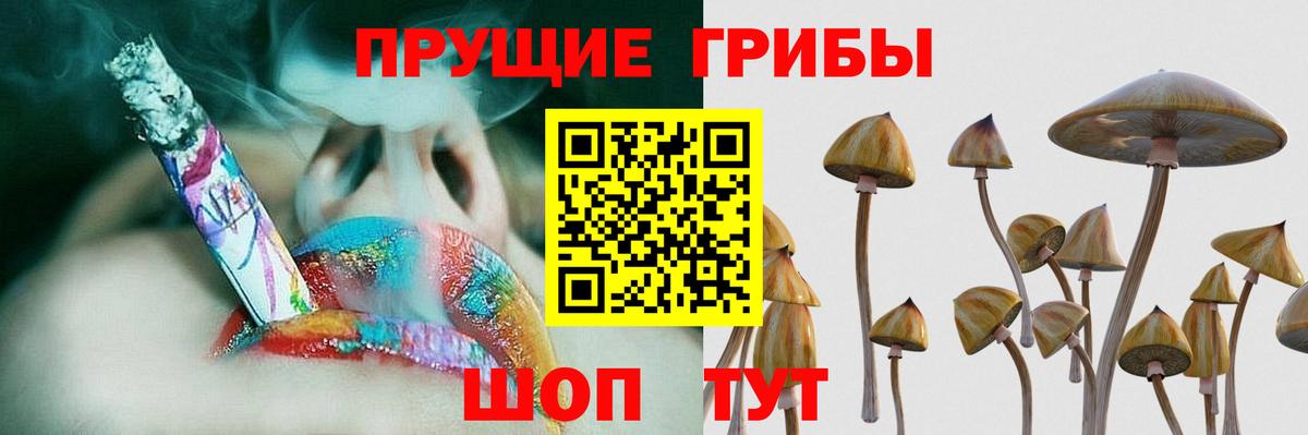 Анжеро-Судженск  Марихуана  Вход с VPN  ГАШИШ  Мефедрон  