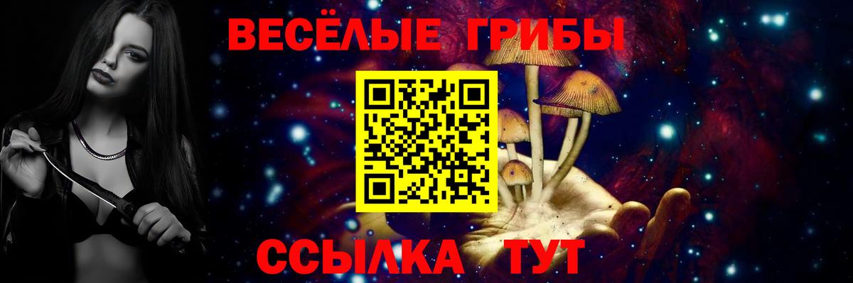 Галлюциногенные грибы прущие грибы Анжеро-Судженск